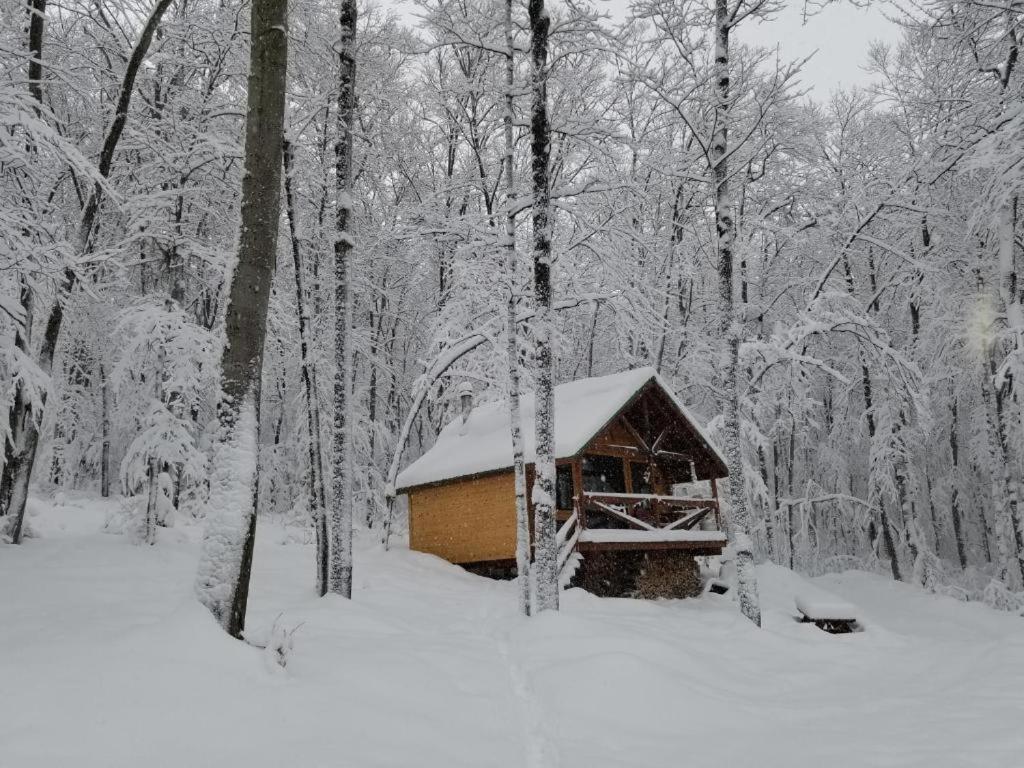 Les Cabines Nordik 2.0 Shawinigan Zewnętrze zdjęcie