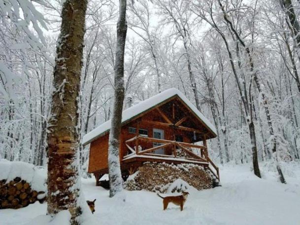 Les Cabines Nordik 2.0 Shawinigan Zewnętrze zdjęcie